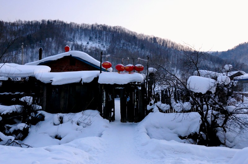 梦里依旧在雪乡–记121230~130105 冬日童话