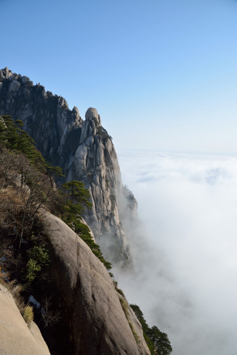 踏黄山 观云海 奇松怪石