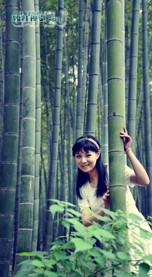 【竹林倩影】