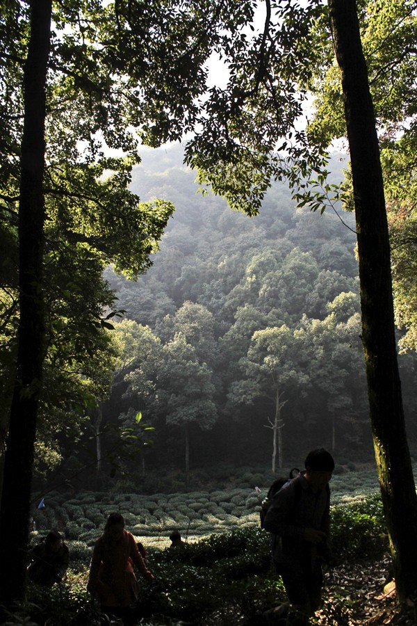 日碦则人口(3)