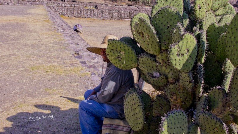 Cuidad De Mexico 独行墨西哥