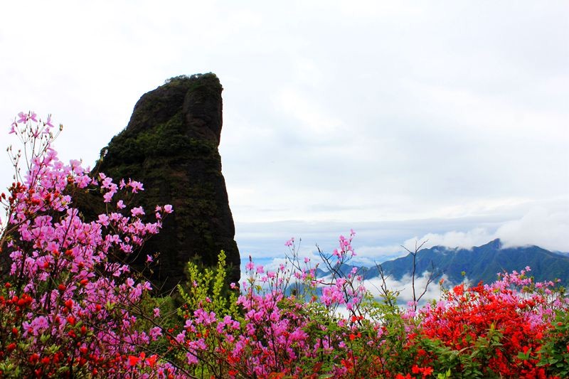 不可复制的壮美:石姆岩云海奇观